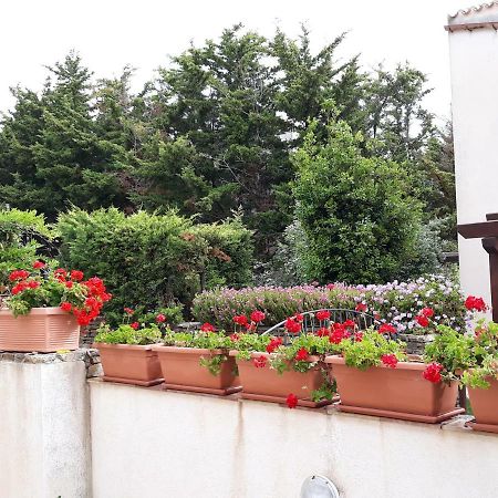 Villino Messina San Vito Lo Capo Exterior foto