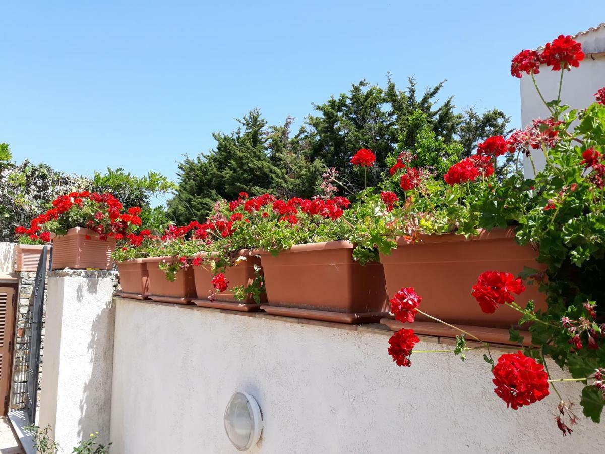 Villino Messina San Vito Lo Capo Exterior foto